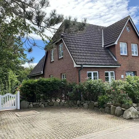 Blaukehlchen - B71315 * Nieblum