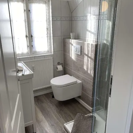 Blaukehlchen - B71315 * Nieblum