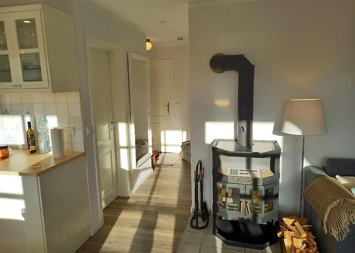 Blaukehlchen Nieblum